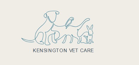 Kensington Veterinary Care