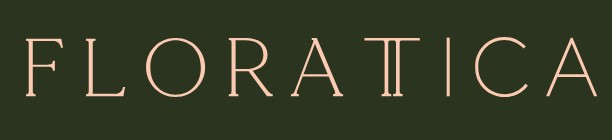 Florattica rooftop bars in London