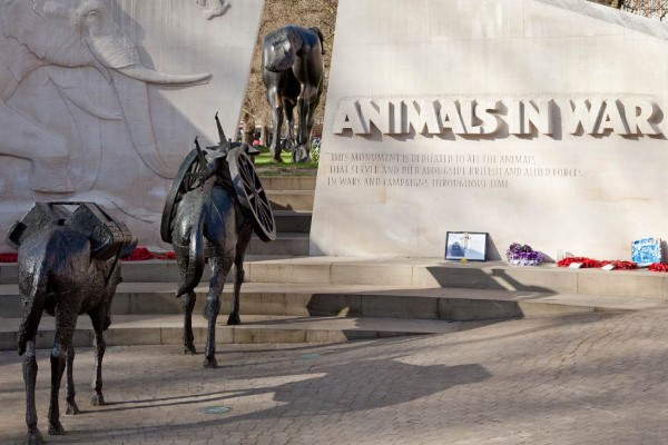 Animals In War Memorial