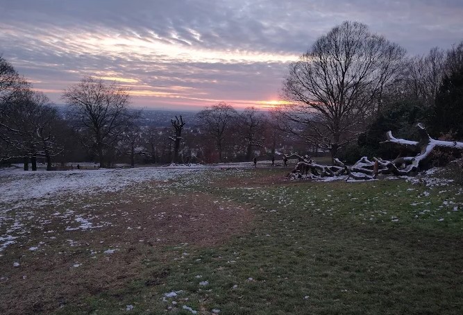 Oxleas Woods