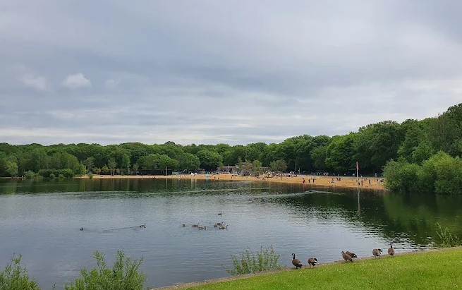 Ruislip Woods forests in London
