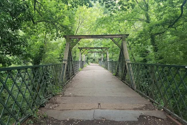 Sydenham Hill Wood forests in London
