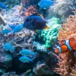 Top 10 best aquariums in London