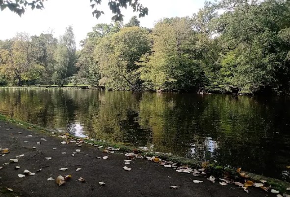 Whitewebb Forest Pond