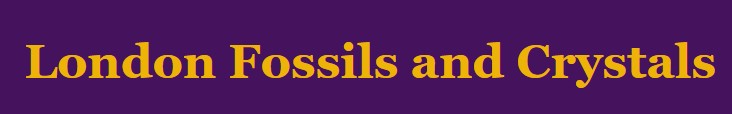 London Fossils and Crystals