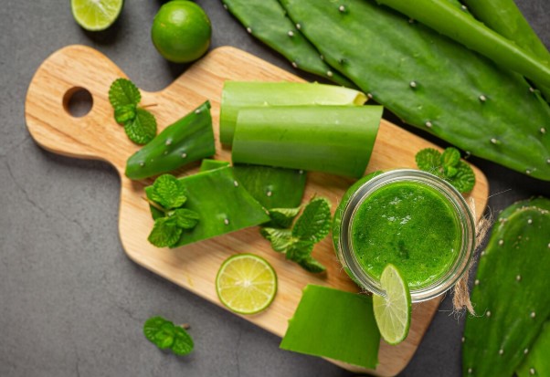 Aloe Vera