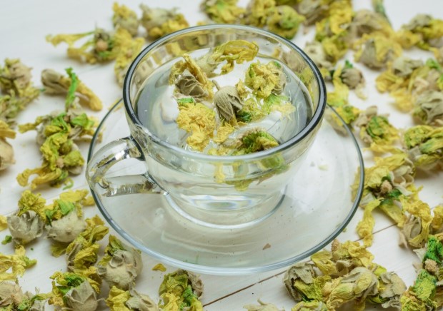 Chamomile natural ingredients in London