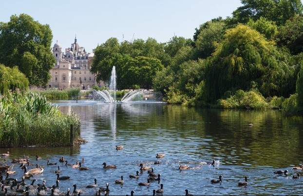 St James's Park Lake beautiful lakes in London