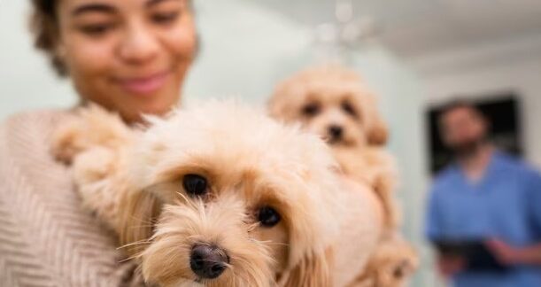 Top 10 At-Home Pet Sitting Services in London