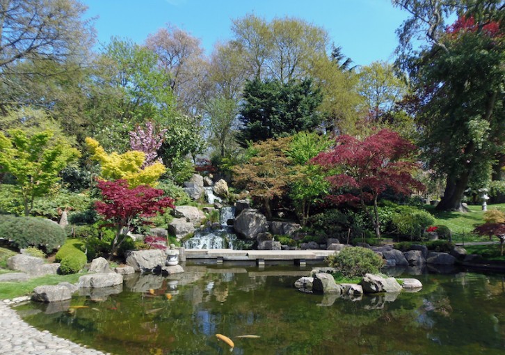 Holland Park (including its Kyoto Garden) gardens in London