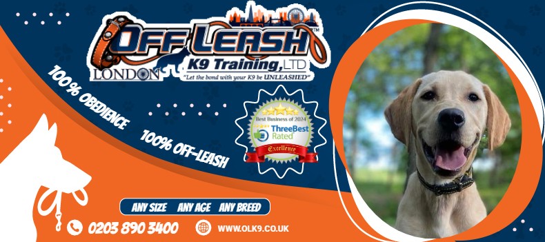 Off Leash K9 Training London