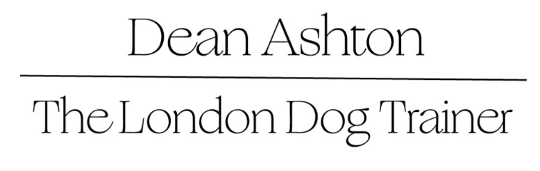 The London Dog Trainer - Dean Ashton dog training schools in London